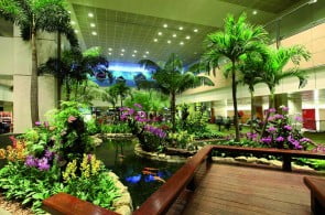 Na topie, lotnisko Changi, Singapur Na topie, lotnisko Changi, Singapur
