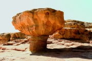 Mushroom Stone