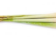 Lemon Grass