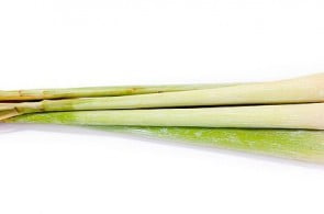 Lemon Grass