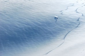 sno sno
