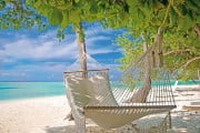fot.dreamstime fot.dreamstime