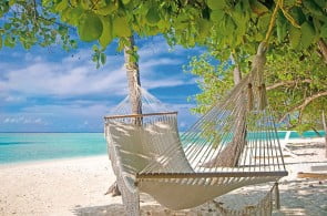 fot.dreamstime