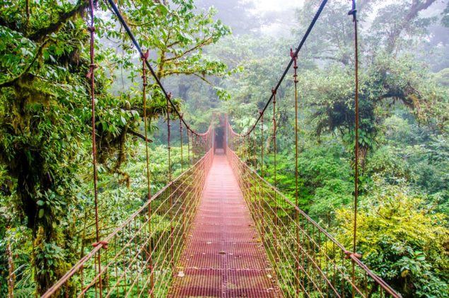 Bridge in Rainforest - Costa Rica - Monteverde